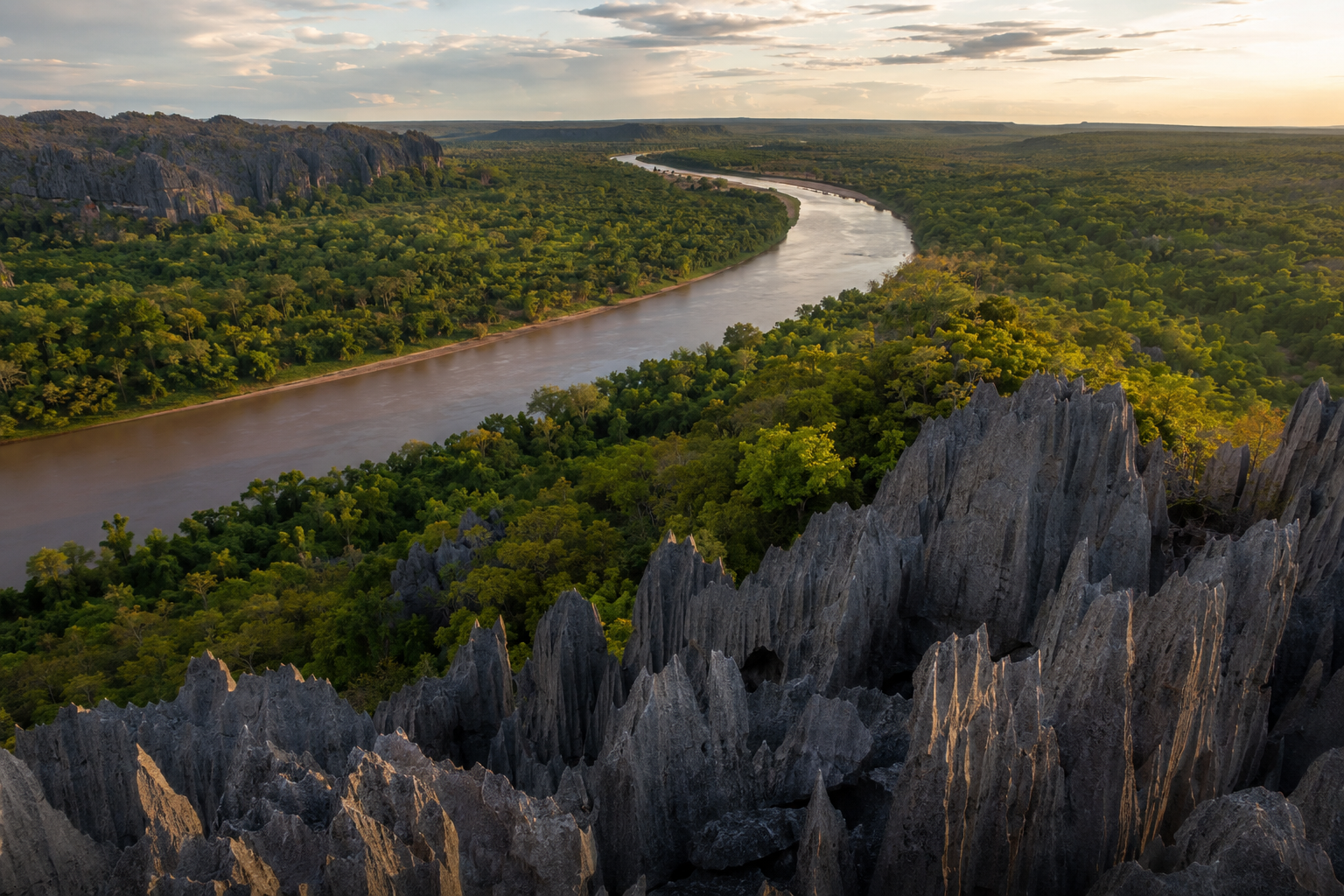 Paysage des Tsingy de Bemaraha